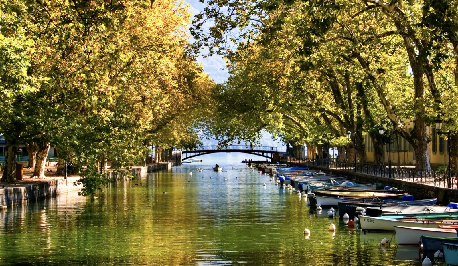 Pont des Amours, הגשר עטור העצים מעל התעלה באנסי